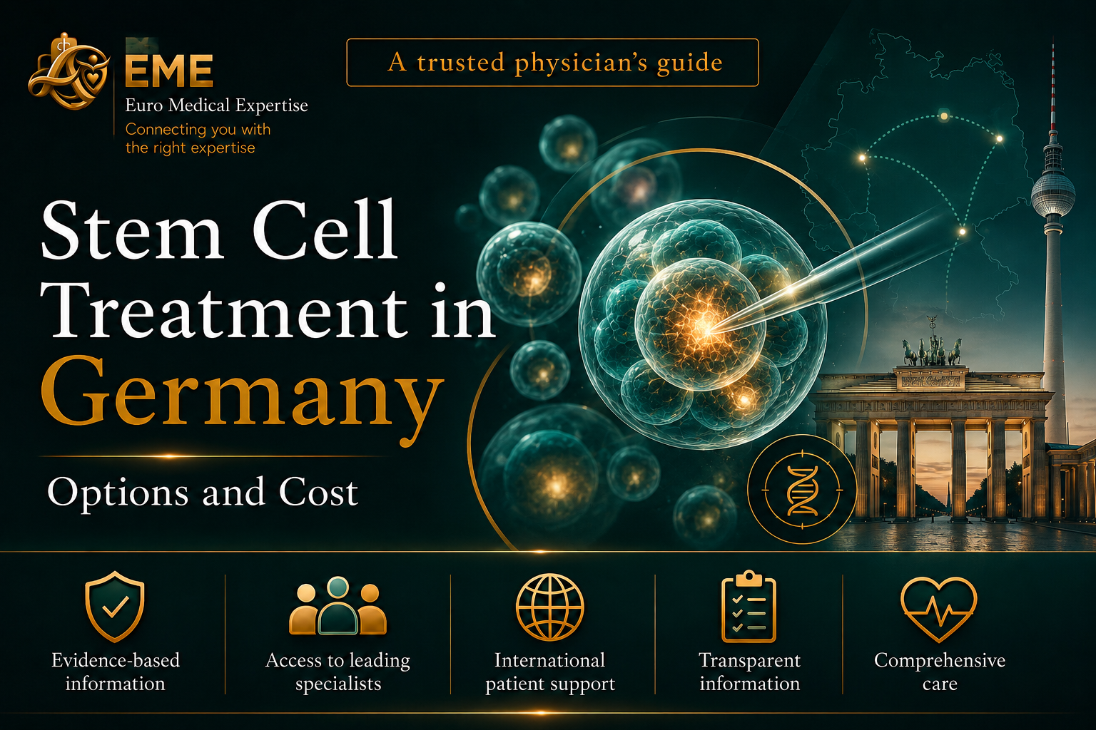 Stem cell treatment in Germany – blood stem cell transplantation, options and costs