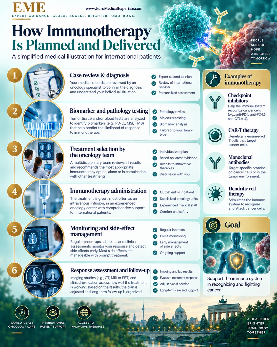 How immunotherapy is planned and delivered in Germany